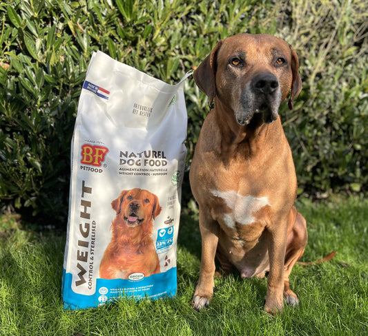 Wat te doen als je hond of kat te zwaar is?