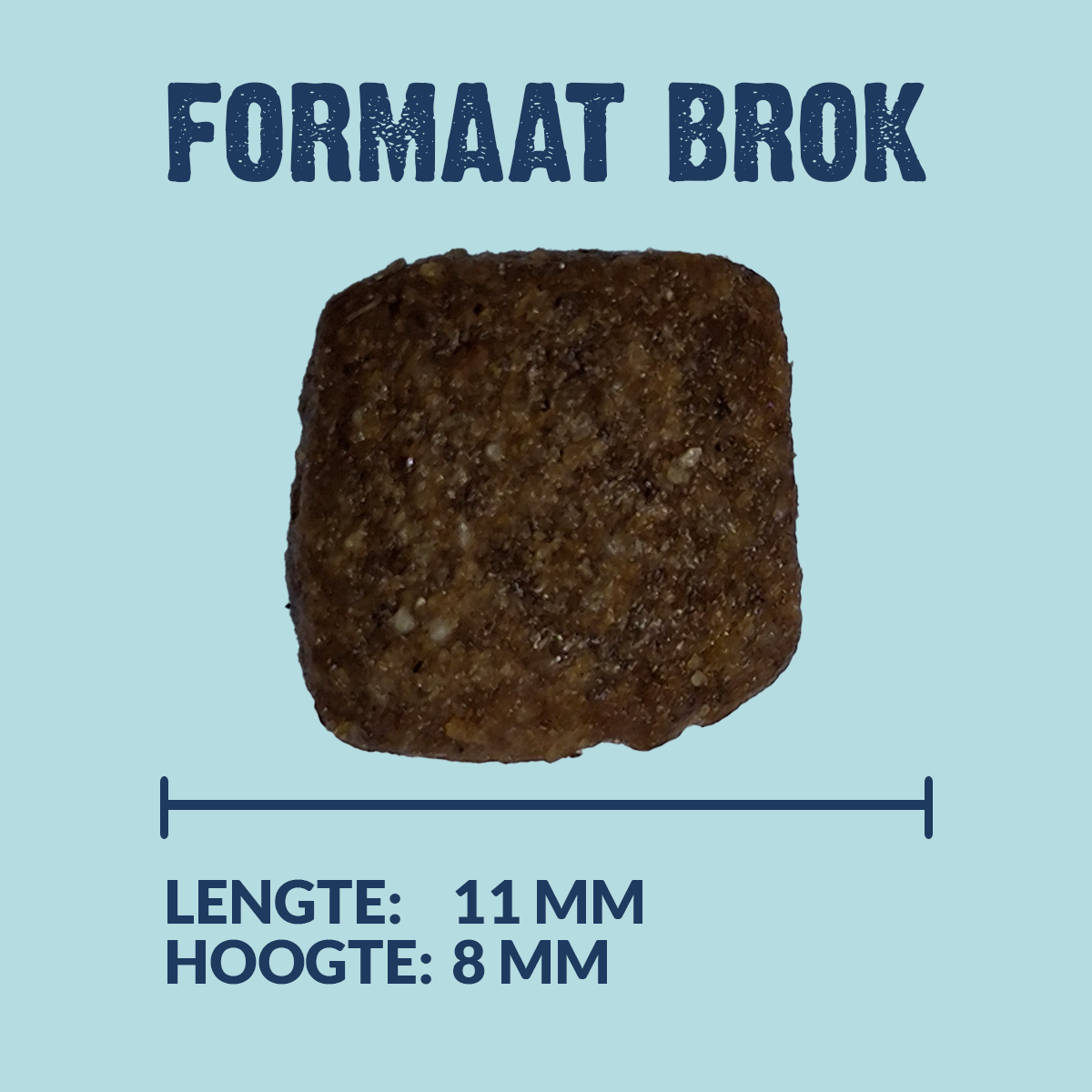 Senior - Mini