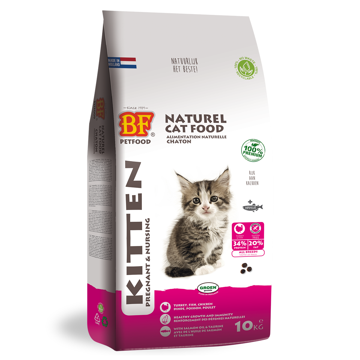 Kitten - Pregnant/Nursing